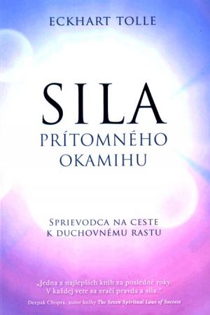 Sila prítomného okamihu