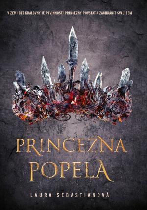 Princezna popela