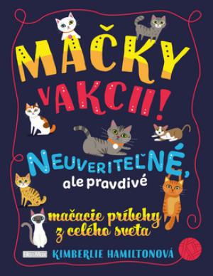 Mačky v akcii!