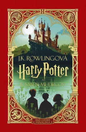 Harry Potter a Kameň mudrcov Novinka