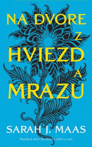Na dvore z hviezd a mrazu