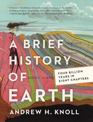 A Brief History of Earth