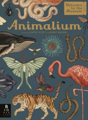 Animalium